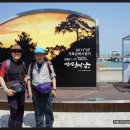 산초와 돈키호테 이미지