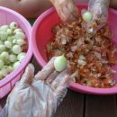 해바라기분식 이미지