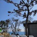 계원리 | (광고아님X) 포항 여행 추천 TITF카라반 후기 만족도