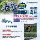 블루베리