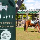 포니포니