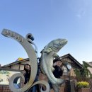 포도원회집 이미지