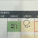 비단향꽃무