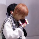 제주도 푸른밤 이미지