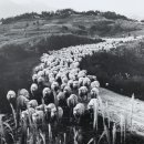 지리산목장 이미지