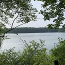 고요 이웃 이미지