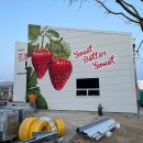 흰돌농장 이미지