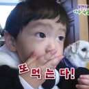 같은 자리에서 같은 웃음을