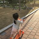 우리아이 첫 킥보드!#캘리앤스테판 라이트킥보드 #내돈내산 후기