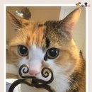 타이밍 이미지