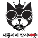 대풍이네