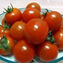 최종길농장 이미지