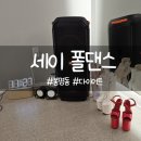 [대전 다이어트] 폴린이의 폴댄스 1회차 솔직후기 봉명동 세이폴댄스 + 초보의상