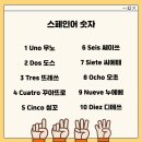 기초 스페인어 이미지