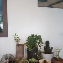 견생폼사 | 2019년 12월 25일 오후 01시 50분 [영화 프린스 코기 ♡]