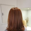 델루나헤어샵