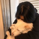 왈왈라와와왈월월 2월 일기