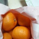 태평양한의원 이미지
