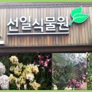 선일정육점