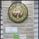 씨씨존