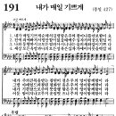 가정예배 365-2024년8월4일(주일) 광야로 몰아내실지라. 이미지