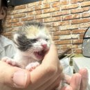 하영당구장 이미지