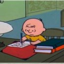 경희 태권도하는아이들 태권도장 이미지