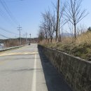 용전리경로당 Daum카페
