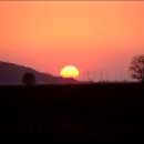 바람의노래 이미지