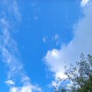 화왕산자연휴양림 이미지