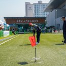 그라운드 골프 뉴시스
