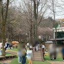 가족이 함께 떠나는 숲체험 & 놀이 - 애벌레 숲 놀이터 | 용인 아기랑 숲놀이터 추천 동천자연식물원 동물체험부터 모래놀이까지 완벽 정복