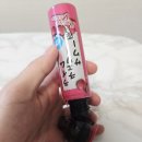 체리랩(Cherry Lab)