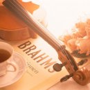 바이올린 중급반 이미지