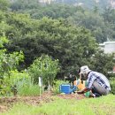 향림어린이공원 이미지