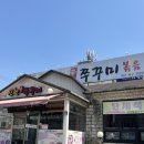 신천불주꾸미 | 대구 북구 구암동 쭈꾸미 맛집) 신천 불 주꾸미