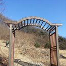 우암산등산로1 이미지