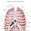 CPR(심폐소생술)이 중요한 이유와 제대로 하는 방법.gif +노래 이미지