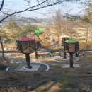 옥화자연휴양림 이미지