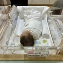 리베 산후조리원(마곡점) | 마곡 리베산후조리원 마곡점 식사, 시설, 프로그램 등 후기