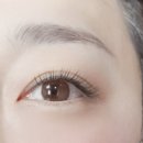 래쉬바이미