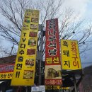 지리산정자나무펜션