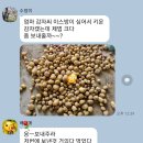 사뿐사뿐님네 못난이미니단호박 후기 이미지