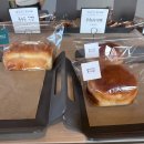 용인 대형카페 화이트바움 후기｜에버랜드 근처 베이커리 맛집