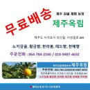 (제주옥림) 제주 황금향 3Kg 5Kg 10Kg 팝니다. 이미지