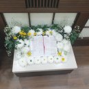 강원대학교병원 이미지