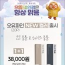으뜸50안경콘택트