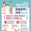 자진신고