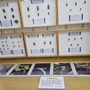 한국전통창조박물관 이미지