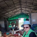 김길순농장 이미지